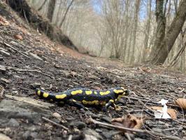 pour une biodiversite engagee